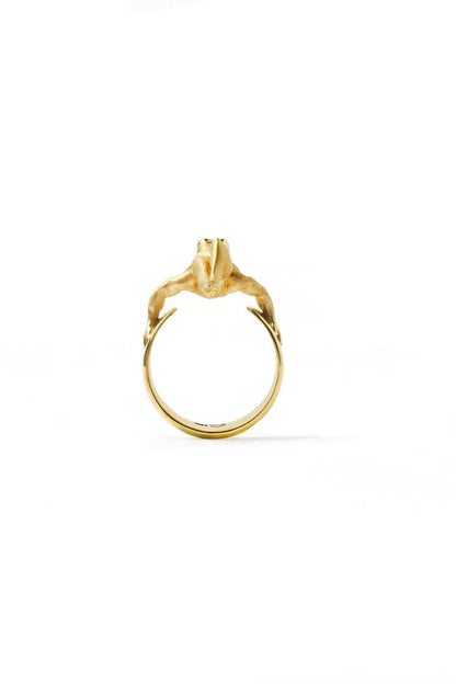 Artistic sculptural Balance Ring by Piayuli